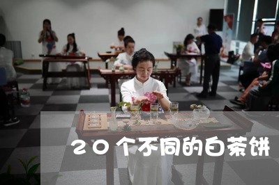 20个不同的白茶饼/2023121573616