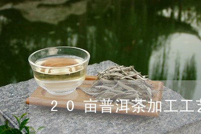 20亩普洱茶加工工艺研究/2023082870905