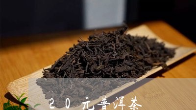 20元普洱茶/2023042653038