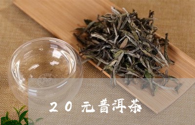 20元普洱茶/2023091380472