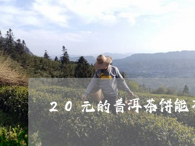 20元的普洱茶饼能不能喝/2023051020303