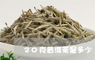 20克普洱茶是多少/2023120501516