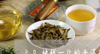 20块钱一斤的普洱茶/2023061468380