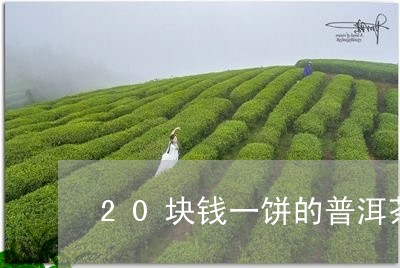 20块钱一饼的普洱茶/2023092638051