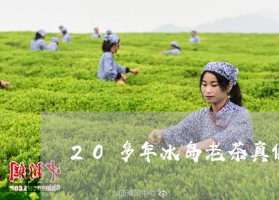 20多年冰岛老茶真假/2023092371693