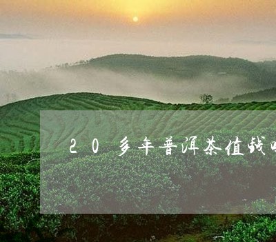 20多年普洱茶值钱吗/2023062830704