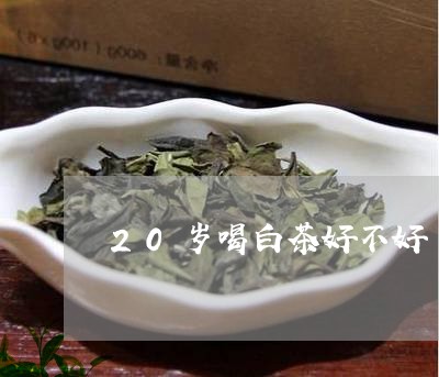 20岁喝白茶好不好/2023121578483