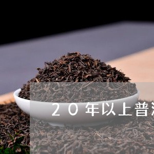 20年以上普洱茶味道/2023100890816