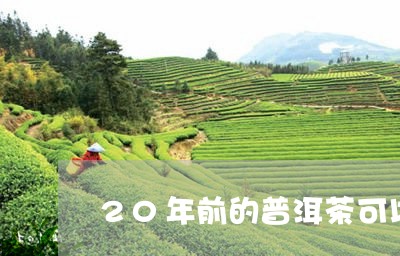 20年前的普洱茶可以喝吗/2023081558483