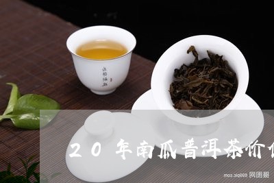 20年南瓜普洱茶价值/2023062982736