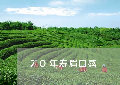 20年寿眉口感/2023112475259