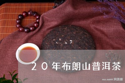 20年布朗山普洱茶/2023071014706