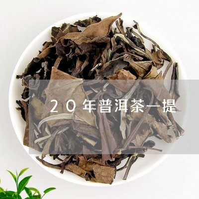 20年普洱茶一提/2023112434048