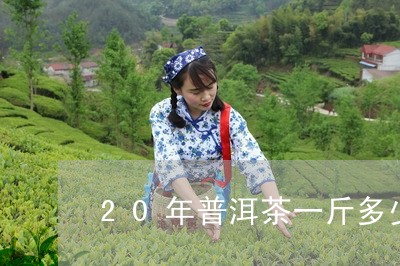 20年普洱茶一斤多少钱/2023050634157