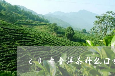 20年普洱茶什么口味/2023080195269