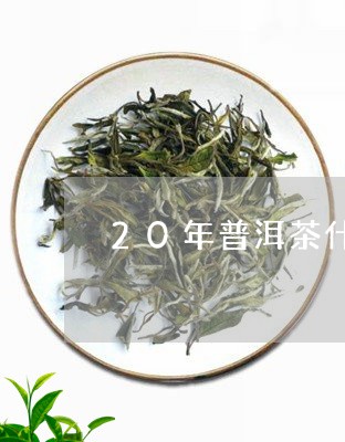 20年普洱茶什么味道/2023080327451