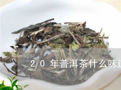 20年普洱茶什么味道/2023100713717