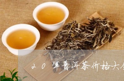 20年普洱茶价格大全/2023100687481