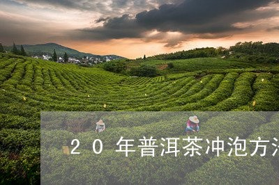 20年普洱茶冲泡方法/2023100549562