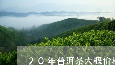 20年普洱茶大概价格/2023100646370