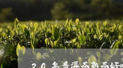 20年普洱茶熟茶好吗/2023100709491