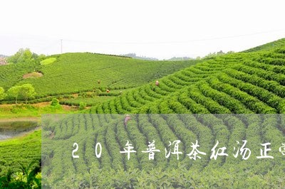 20年普洱茶红汤正常吗/2023082869401