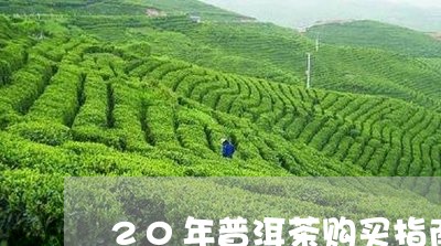 20年普洱茶购买指南/2023062827472