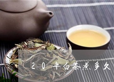 20年白茶煮多久/2023070162794