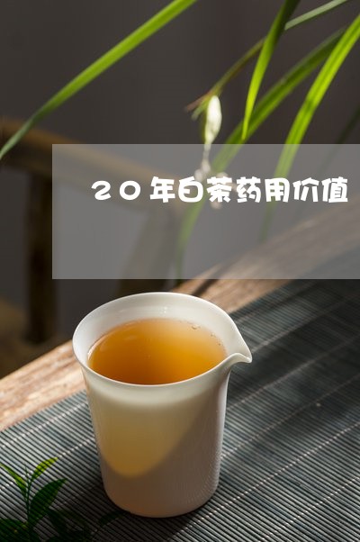 20年白茶药用价值/2023071380826