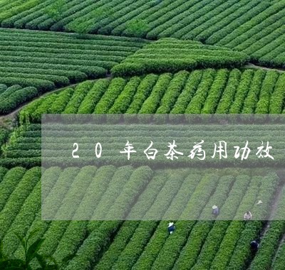 20年白茶药用功效/2023121541493