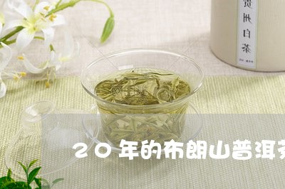 20年的布朗山普洱茶/2023120693840