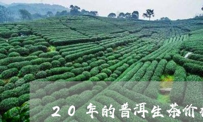 20年的普洱生茶价格/2023092444714