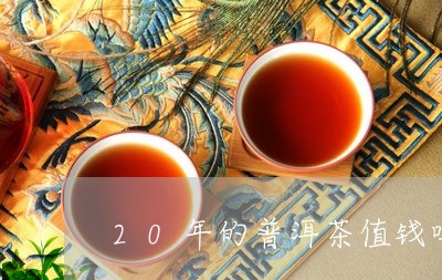 20年的普洱茶值钱吗/2023062427289