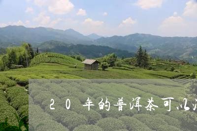 20年的普洱茶可以泡几次/2023110283813