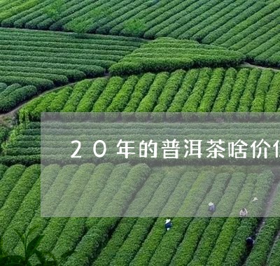 20年的普洱茶啥价位/2023073161401