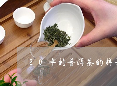 20年的普洱茶的样子/2023062327250