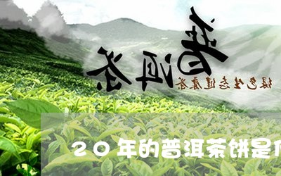 20年的普洱茶饼是什么味道/2023082831585