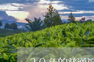 20年的普通福鼎白茶/2023092097251