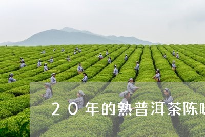 20年的熟普洱茶陈味/2023092948384