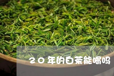 20年的白茶能喝吗/2023121571605