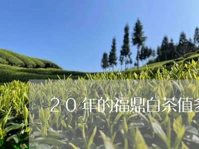 20年的福鼎白茶值多少钱/2023111688483