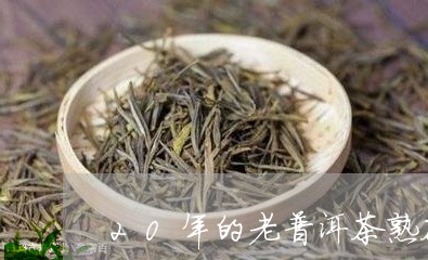 20年的老普洱茶熟茶/2023062340047