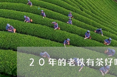 20年的老铁有茶好吗/2023071648692