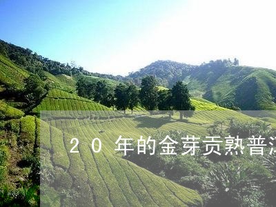 20年的金芽贡熟普洱茶/2023120774918