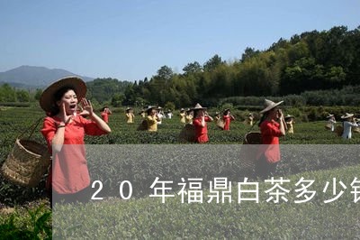 20年福鼎白茶多少钱/2023120600596