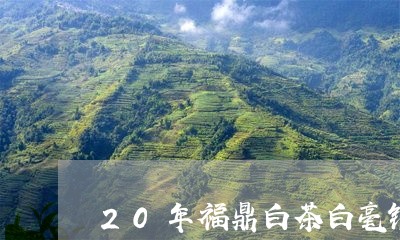 20年福鼎白茶白毫银针/2023111667482