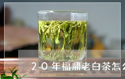 20年福鼎老白茶怎么用/2023092239373