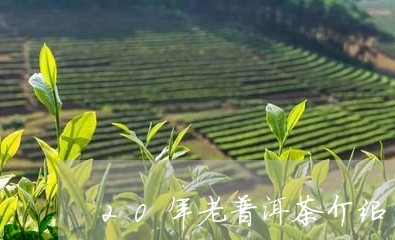 20年老普洱茶介绍/2023071042735