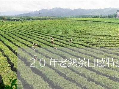 20年老熟茶口感特点/2023061067490