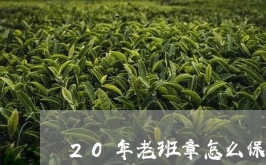 20年老班章怎么保存/2023092413716